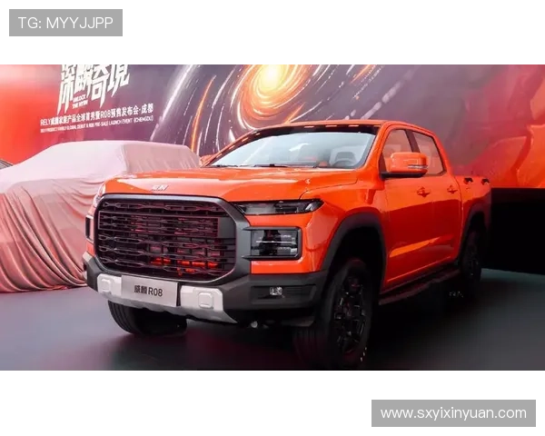 10万皮卡新选择 静态解析威麟R08