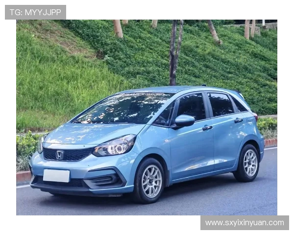 11万公里本田飞度地球梦,到底有没有积碳