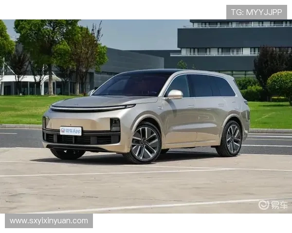 11月国内汽车销量分析 Model Y重回榜首_海鸥首破4万台